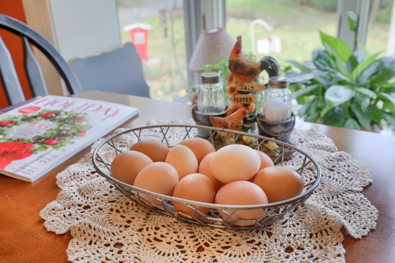 Hammer Creek Hideaway Bed and breakfast Lititz